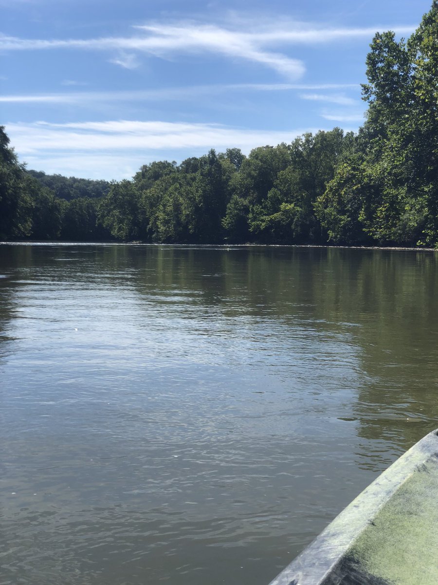 pwhittenstock's tweet photo. Just around the river bend... #YAKING = kayaking https://t.co/EpcEdGELad