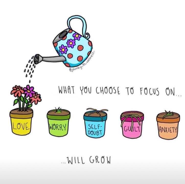 Wise words 💜🌼