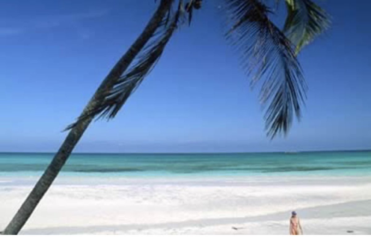 GobChoco's tweet photo. Aplaudimos que la exótica Isla de Choncho, Chocó,  haya sido destacada por la revista económica @Forbes como una de las 10 playas más hermosas del mundo. https://t.co/rhaaN15sI3