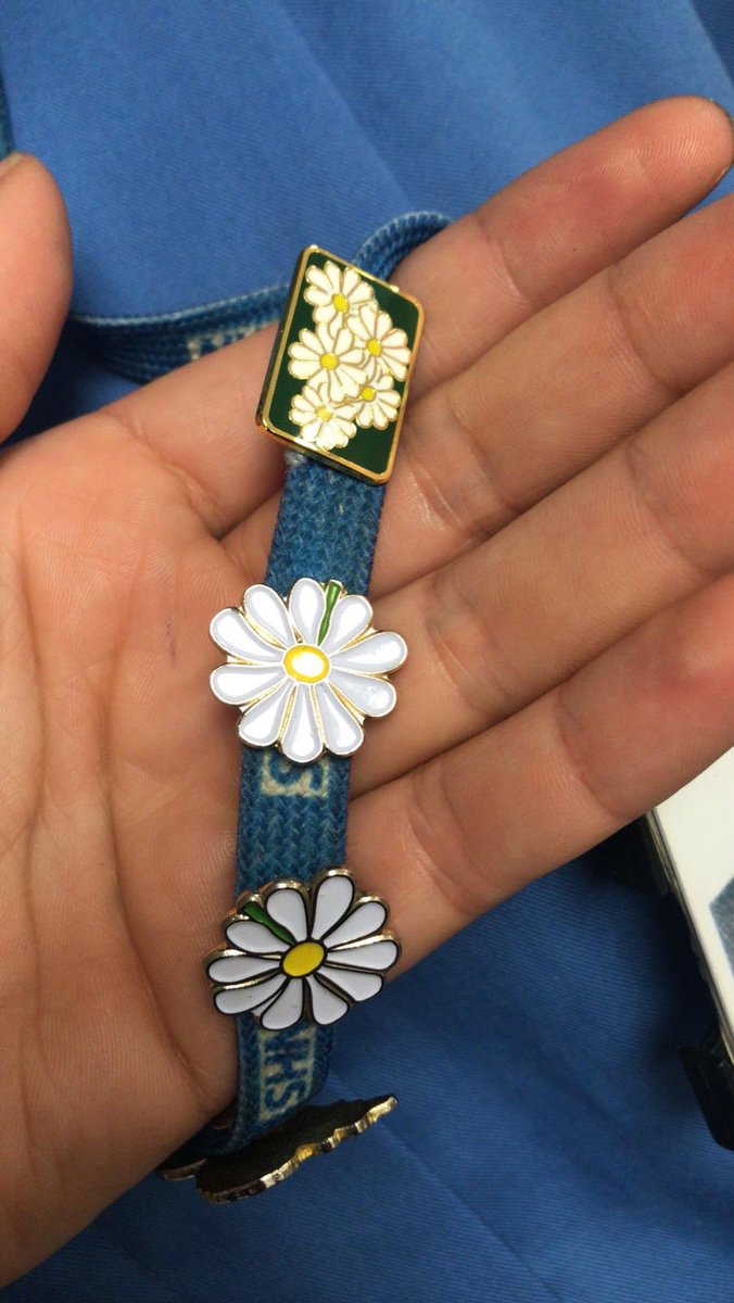 teamsouthwell's tweet photo. @TraceyS84158159 @prdvwebb @MagnetNuh @NUH_Respiratory @NUH_AcuteMed @KerryJo8888 congratulations to our Ania on her 3rd Daisy nomination she now has a daisy chain #teamsouthwellrocks https://t.co/rk4c4nUPEJ