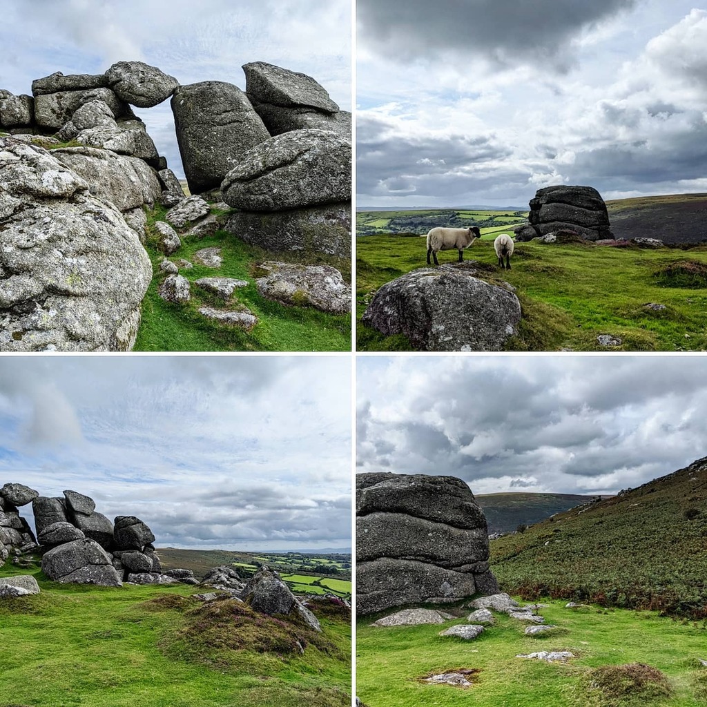 suecartwright's tweet photo. Rocky peaks ... high up on Bell Tor; stunning views of the green dell of Widecombe; north of Bonehill Rocks and the Bonehill settlement, a hamlet dating from the 1600s. #tor #granite #rocks #sheep #views #belltor #widecombe #dartmoor #devon https://t.co/lFVuJt65S5 https://t.co/4x07iZNhwH