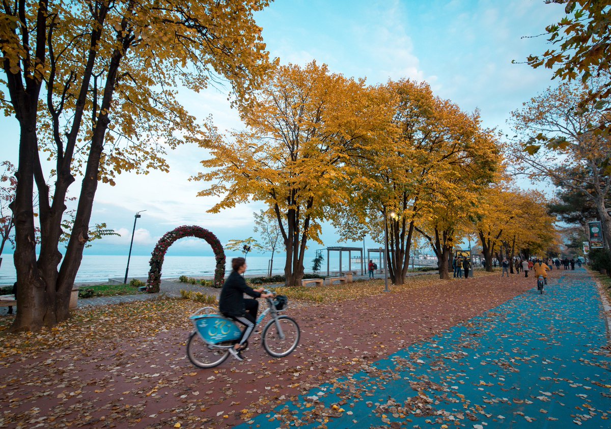 mhilmiguler's tweet photo. Sonbahar, Ordu'ya çok yakışıyor 🍂 https://t.co/8VHOziiGFj