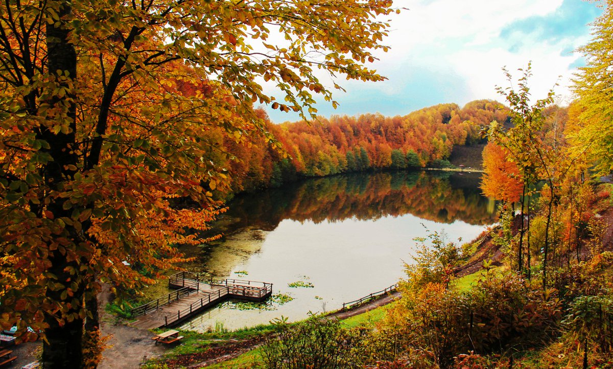 mhilmiguler's tweet photo. Sonbahar, Ordu'ya çok yakışıyor 🍂 https://t.co/8VHOziiGFj