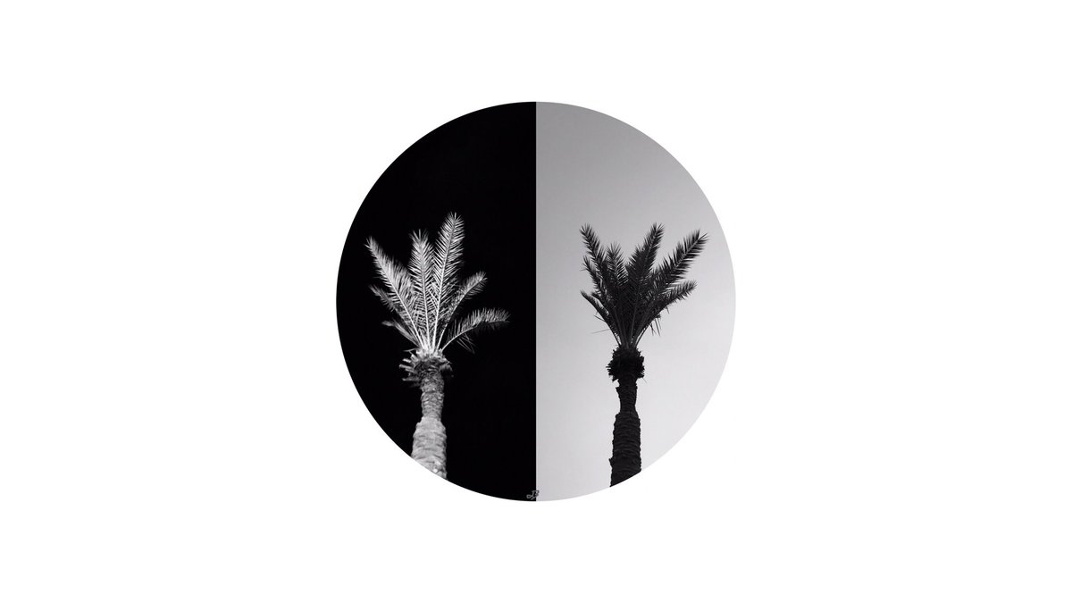 drlami_'s tweet photo. Night and day!
. . .
#144 #TheySpeakForThemselves #series #QuickSketch #MixedMedia #photography #PhotoArt #BlackAndWhite #SummerInKuwait #Nature #Art #Design #Architecture #Kuwait https://t.co/ckiODzdI6x
