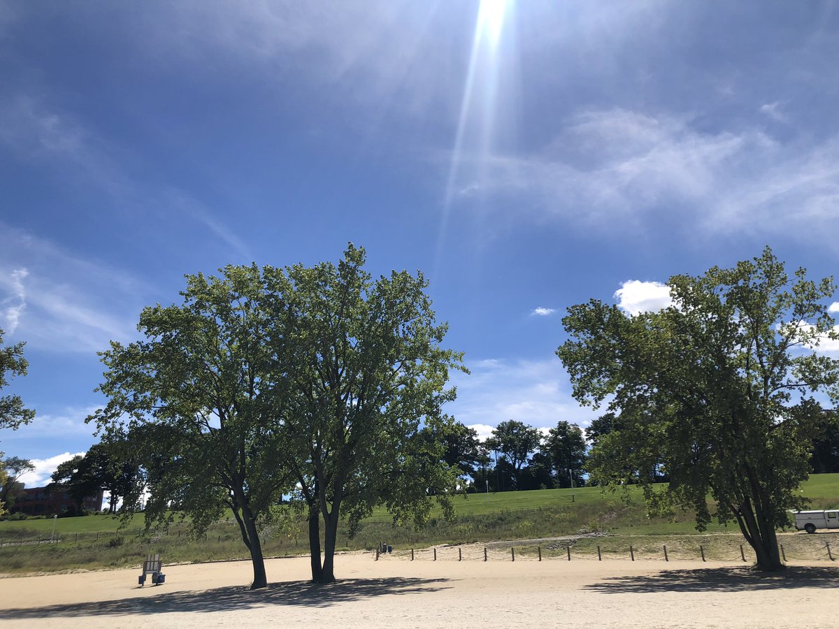 Candace Rich Carrle tweet media