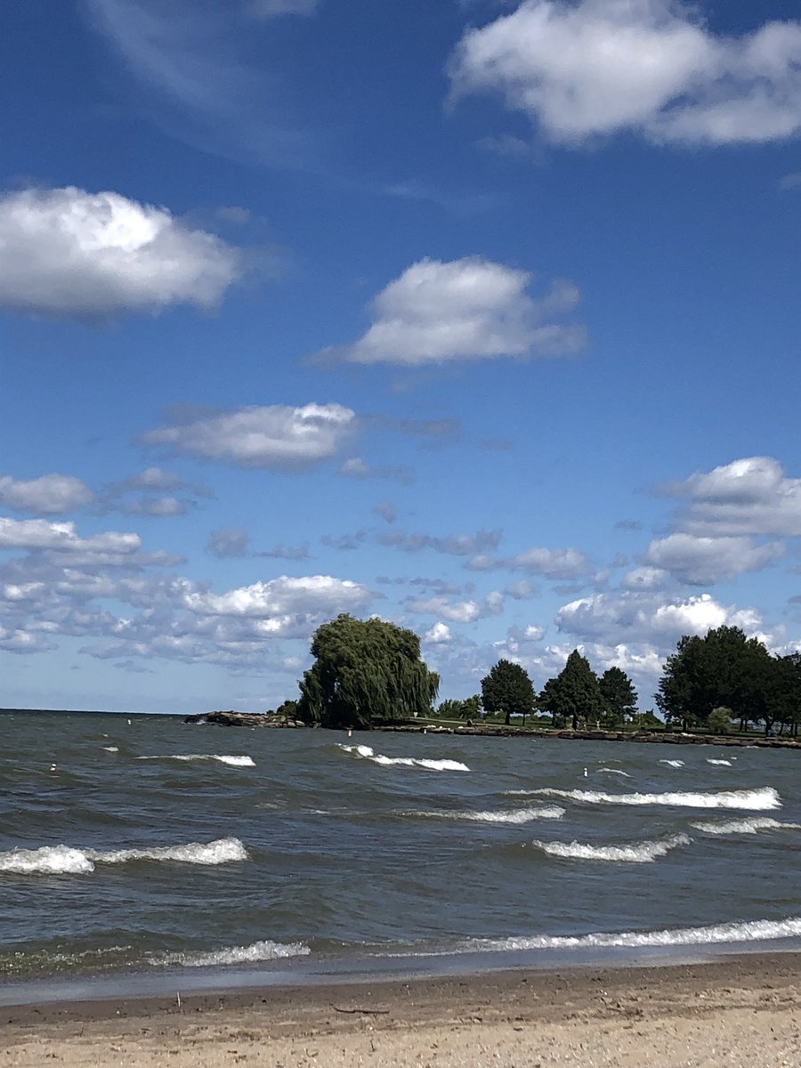 Candace Rich Carrle tweet media