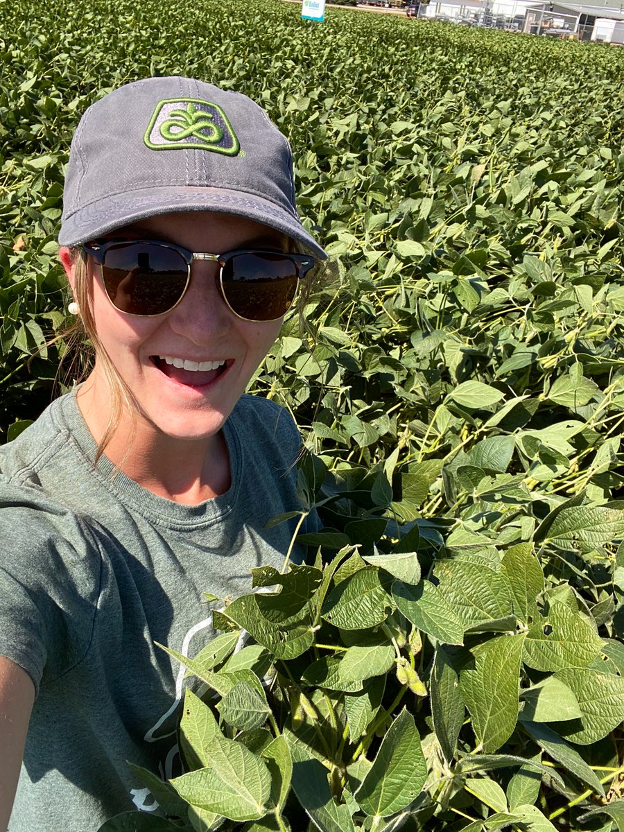 macy_marek's tweet photo. Check out the #QromeAdvantage of P1366Q and P1185Q in Southeast South Dakota! 

Also can’t forget the E3 bean plot that just keeps going! @PioneerSeeds https://t.co/yTaKr4S4vE