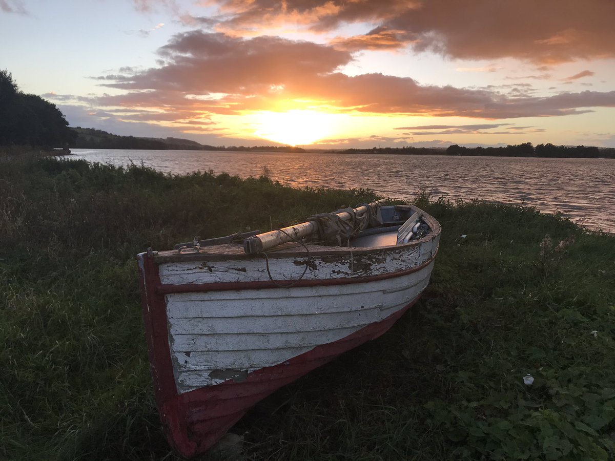 RuthRing's tweet photo. Magical sunset on Great Island. #Cobh #BackOfTheIsland #NorthernShore #sunset #FridayFeeling https://t.co/hpKg0BPBKP
