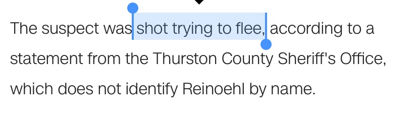 Trump’s agents executed the Portland suspect as he was trying to flee, and don’t allege he fired at them. Do you realize how terrifying it is to have activists accused of crimes be just openly killed? Do you understand how this may escalate massively during a second term?