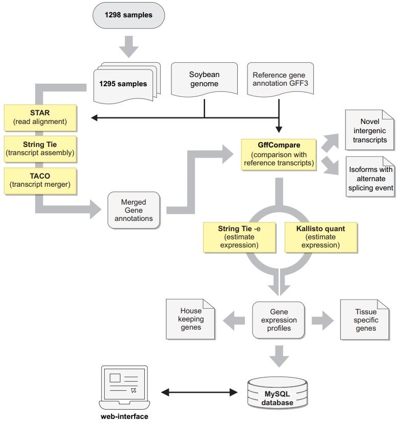 sci_plant's tweet photo. Systematic analysis of 1298 RNA‐Seq samples and construction of a comprehensive soybean (Glycine max) expression atlas

https://t.co/1DLEj9bJAk
#plantsci #PlantSystematic #1298RNA‐Seq ♻️ https://t.co/QU7henN3qF