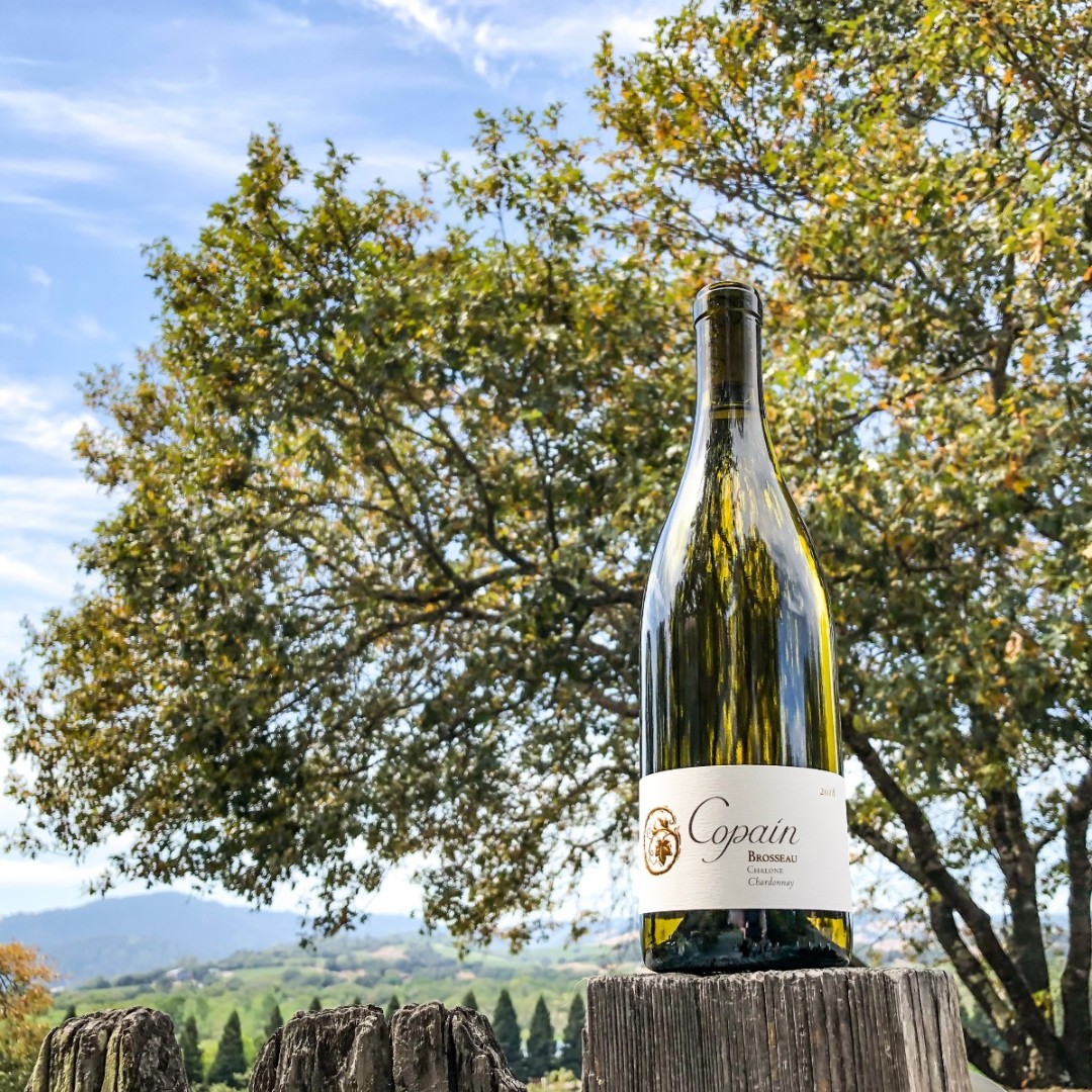 CopainWines's tweet photo. Our 2018 Brosseau Chardonnay, our 10th vintage from this estate, shines with pure minerality and the complexity we enjoy from a Cru Chablis. We look forward to offering this wine to our wine club members in our upcoming fall release. #chardonnay #chalone https://t.co/1D0tTrmATN