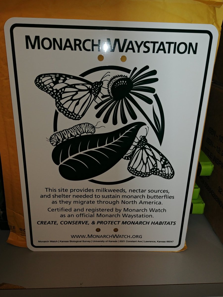 JeanineGing's tweet photo. It's official! The Freedom Middle School Courtyard Classroom is a certified monarch waystation.
#courtyardclassroom
#steamcatalyst
@AlleghenyIU3
@DrJAFuller
@MrRyanSmith1 https://t.co/hxNQoughlD