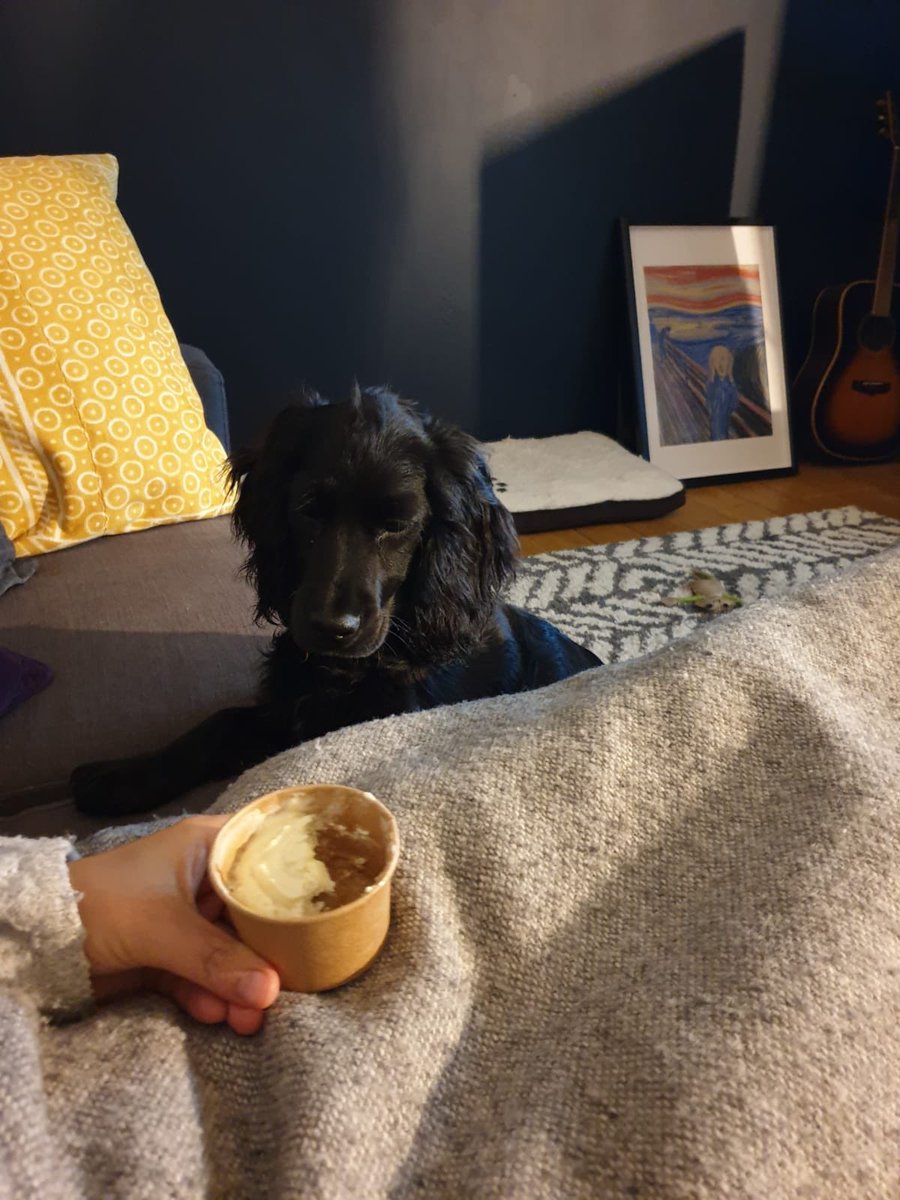 Em_Ridz's tweet photo. Weekend set to be filled with deliciousness. Food was superb. Our Cocker Spaniel, Lola thought so too, all packaging licked like new. Thanks to @TommyBanks8 &amp; @BlkSwanOldstead x https://t.co/9PGRT1Myi9