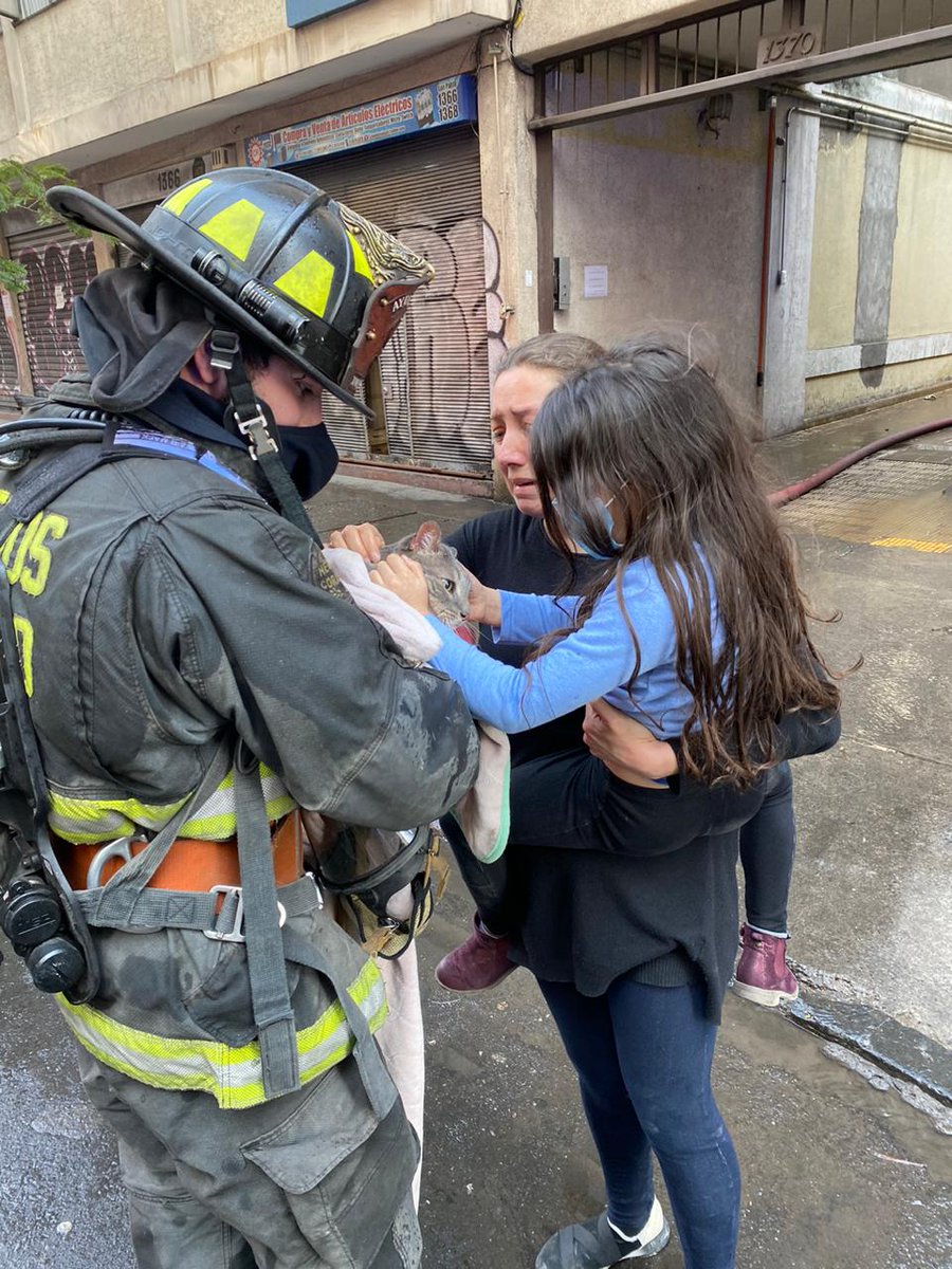 Bomba_Decima's tweet photo. Voluntarios del CBS rescataron a gato desde incendio en #Santiago. #EmergenciasCBS #BomberosSantiago https://t.co/y9A7synBL0 vía @cbsantiago
