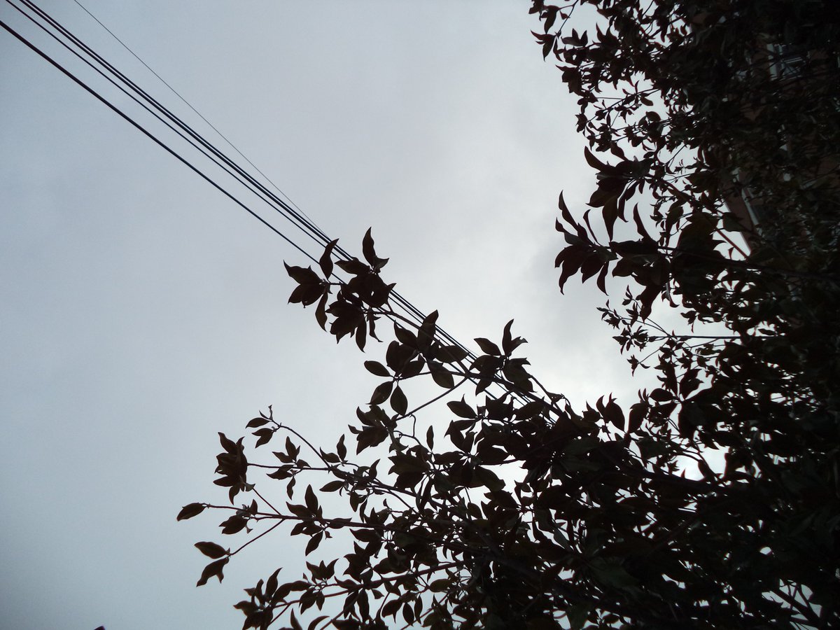 Grosc0's tweet image. Fotillos de hace unos meses hechas con una sony DSC-W710