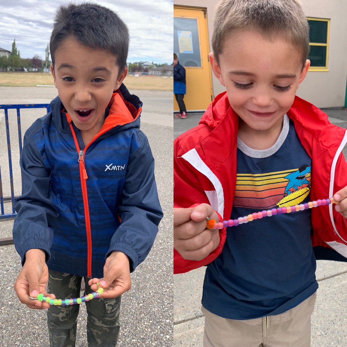 MissB🐝 tweet media