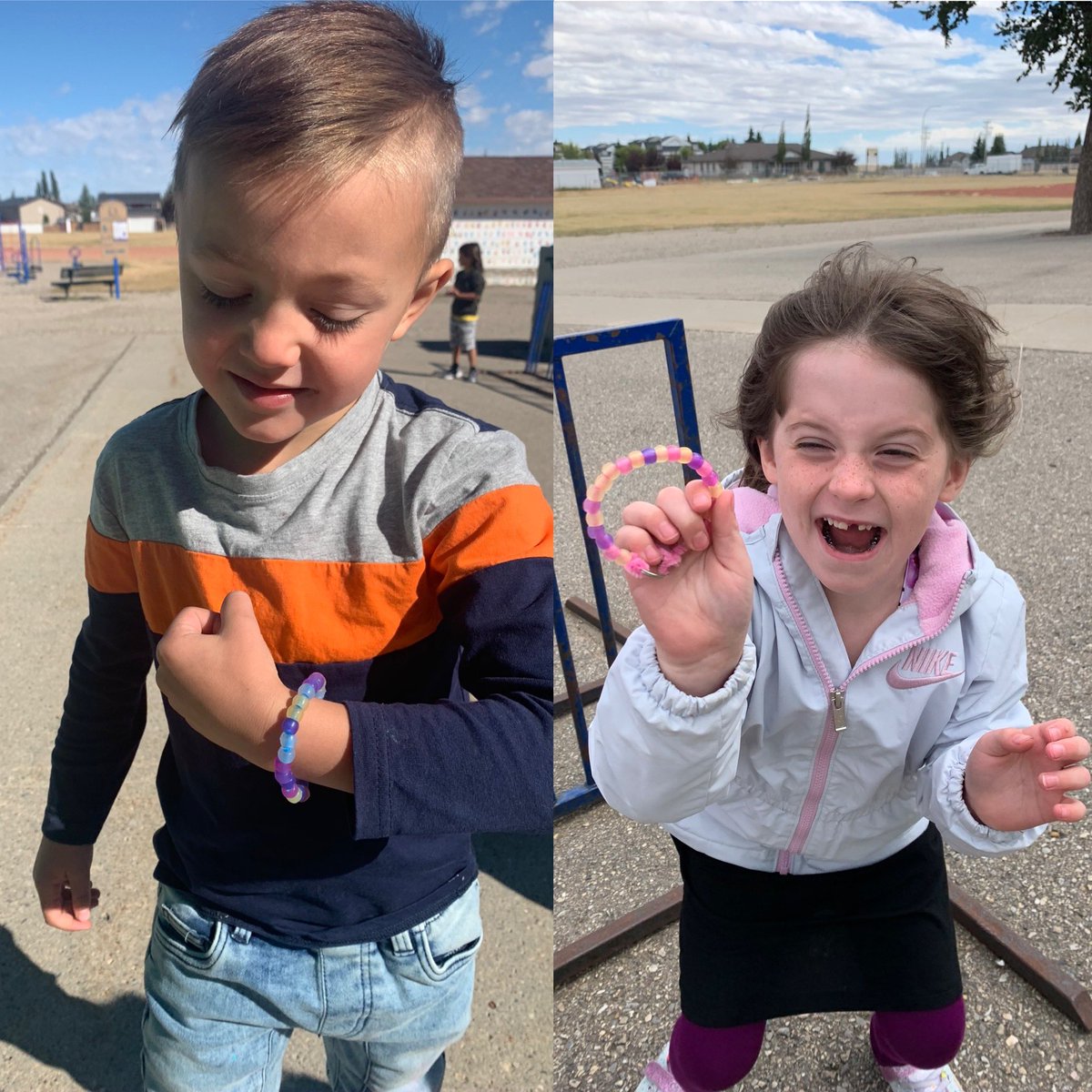 MissB🐝 tweet media