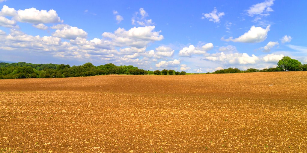 iOpentech's tweet photo. @agrilyze has partnered with @SFU to design a unique soil testing device that will help farmers understand nutrient management issues and BC’s new regulations.

Have a full read here - https://t.co/0ZPCugusxA

#collaboration #digitaltechnology #soiltesting #farming #agriculture https://t.co/metLCkOyrJ