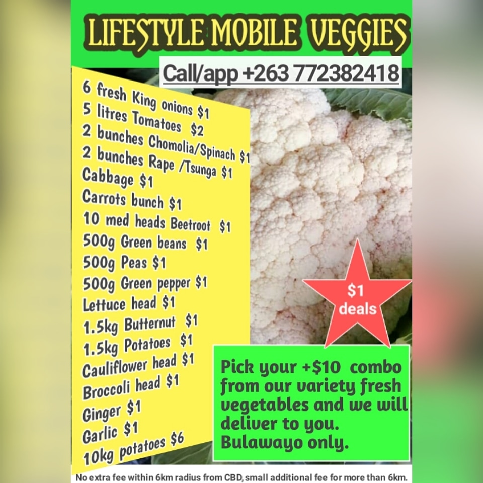 #lifestylefreshveg tweet media