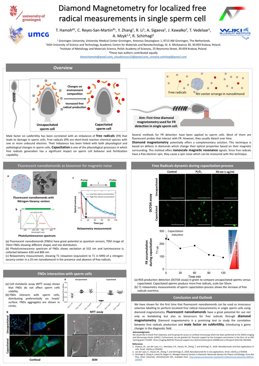 bioanalysisg's tweet photo. "Diamond Magnetometry for localized free radical measurements in single sperm cell"
#MaterialsPoster @Materials_mdpi https://t.co/bd98F0i8Ts