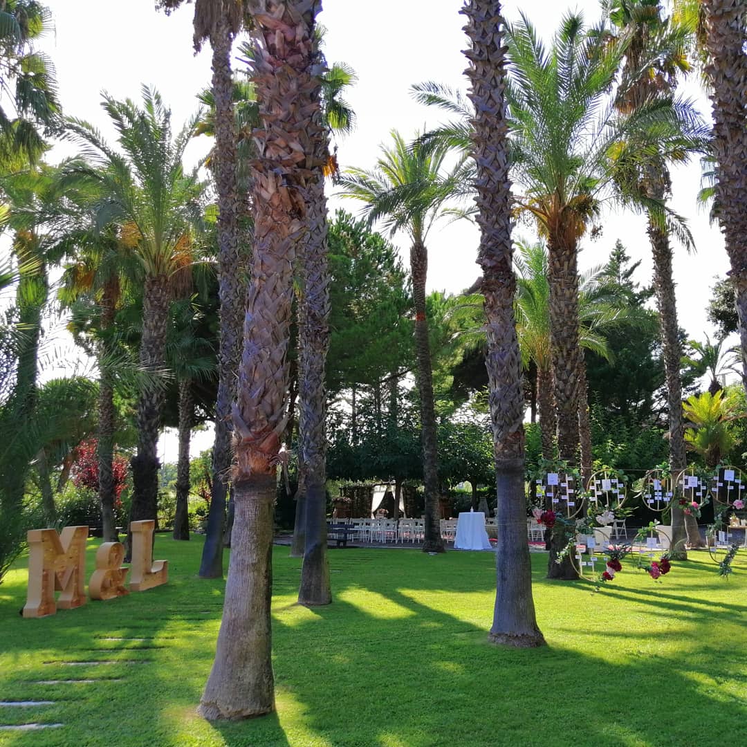 ImproBarcelona's tweet photo. Avui hem tornat a casar una parelleta ๐, mรฉs monuuus... I com no, unes impros a mida pels nuvis i els assistents. Un event rodรณ a @Turo_del_Sol amb @weddingmed. Bravo @BeatriuCastello i @LoMiquelet!
#weddings #bodas #impro #ImproBarcelona https://t.co/1mMECtRDRL