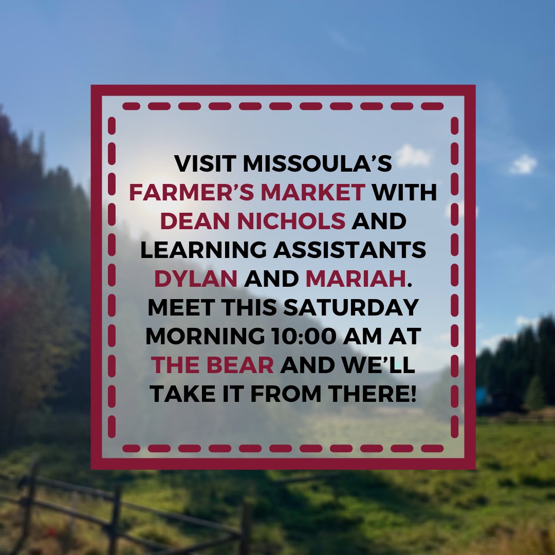 Davidson Honors College tweet media