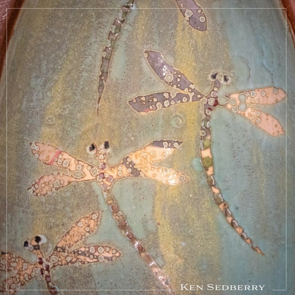 Detail of a large oval bowl. I associate dragonflies with beautiful summer days.⁣
⁣⁣
⁣#kensedberry #woodfired #ilovedragonflys  #ceramicgallery #lynnemeade #intandemgallery #interiordesign #ad #homedecor #artfulhome #ceramicart #stunningpottery #uniquevases #whitepottery