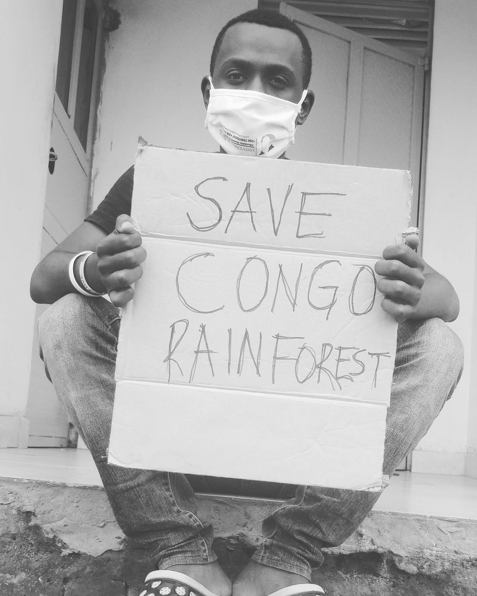 We fear that the Congo rain forest could be on the verge of a massive increase in deforestation for palm oil, rubber, and sugar production. #SaveCongoRainforest #fridaysforfuture #climatestrikeonline #facetheclimateemergency