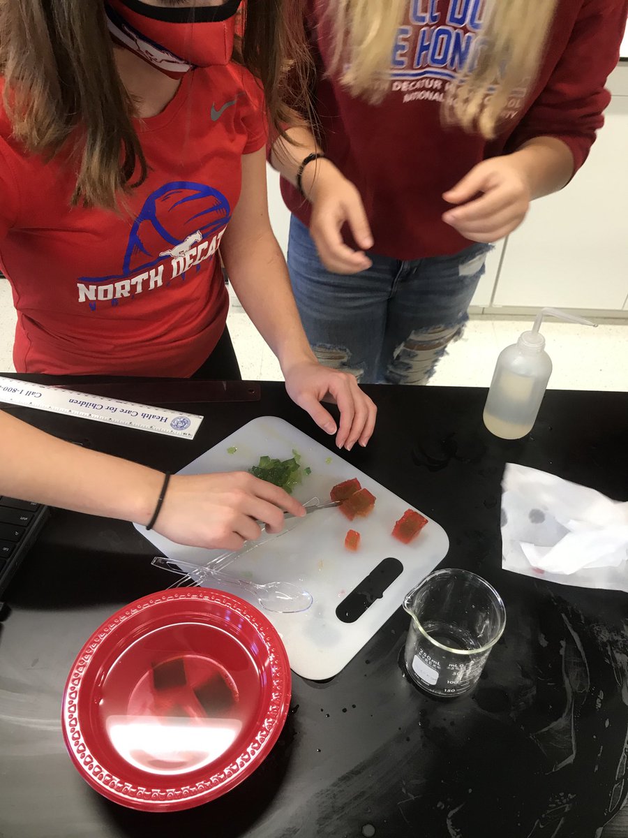 #1DCCS #APBIO Super cool lab today in APBIO. We used KnoxBlox cubes of different sizes infused with pH indicator to test the hypothesis that surface area to volume ratio limits the size of cells.