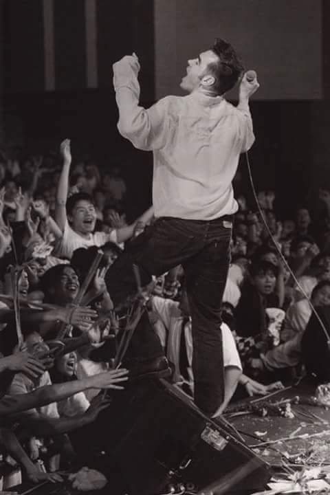 Morrissey in Quotes tweet media