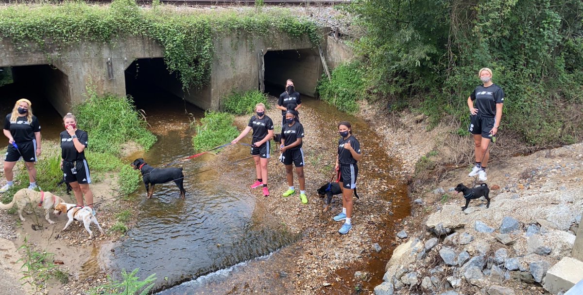 The Reddies are back in the community!

Today our team partnered with the Humane Society of Clark County and walked these beautiful puppies!
