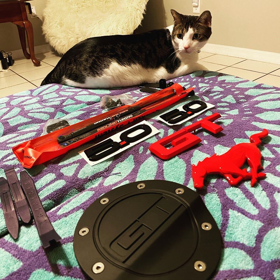cjponyparts's tweet photo. A little #FirstModFriday action w/ @t.j_5.0 - know a lot of up and coming enthusiasts can feel overwhelmed on the "Where to start" - we've got you covered π
https://t.co/4A1zmt14Ea π Top @ford #MustangMods! https://t.co/bwLcp8nLDv