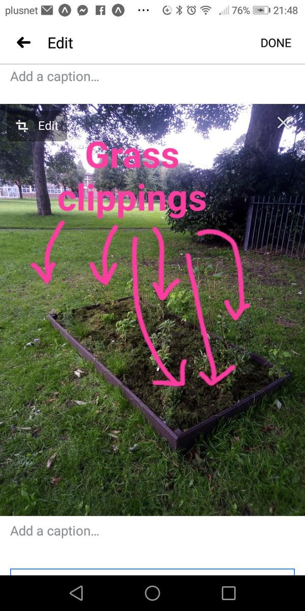 JACKIE1PLANET's tweet photo. Grass clippings (free from #pesticide, chemicals &amp; fertiliser) have been used as a mulch on the #IncredibleEdibleWrecsam #community #garden in #rhosddu Park #Wrecsam. The garden &amp; food is for everyone to take &amp; use for free. @DynamicWrexham @RhosdduNews @salvationarmyuk #Wrexham https://t.co/91fhNJlV7a