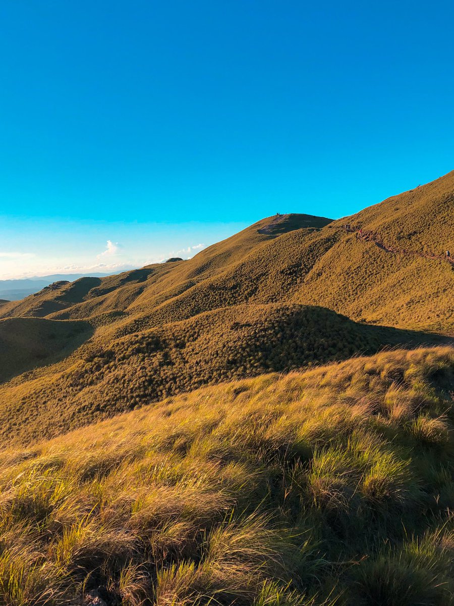 hikingtourscr's tweet photo. Más de cien veces en este lugar y no nos aburrimos... ¡que lindo es Cerro Pelado! ⛰😍

#hikingtourscr https://t.co/CavSSZE31E