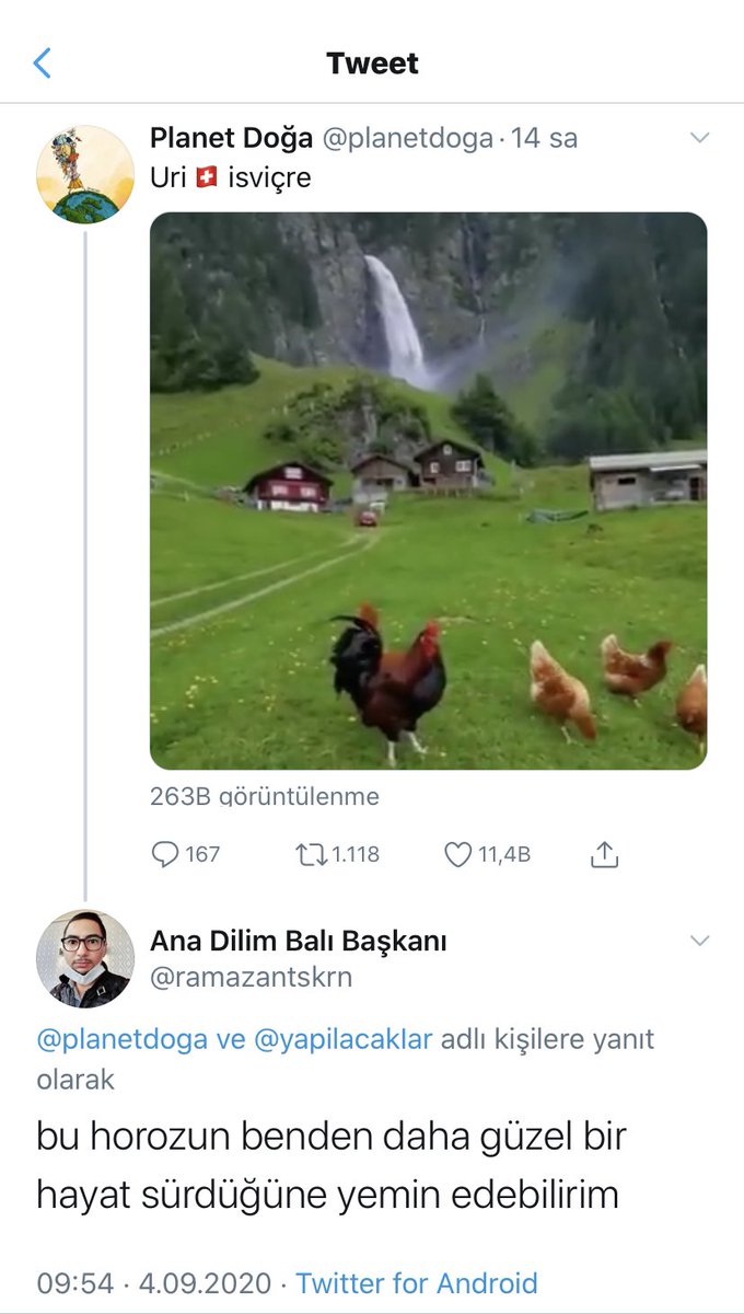 Ankara_kusu1_'s tweet photo. 😂😂😂 https://t.co/JQDN7RA2ic
