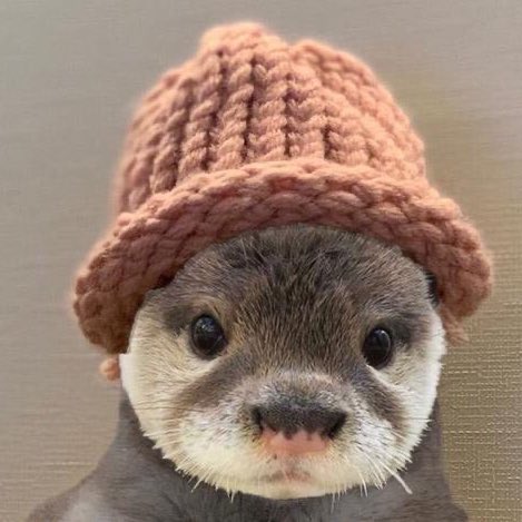 ~ dan as otters  ~ a thread