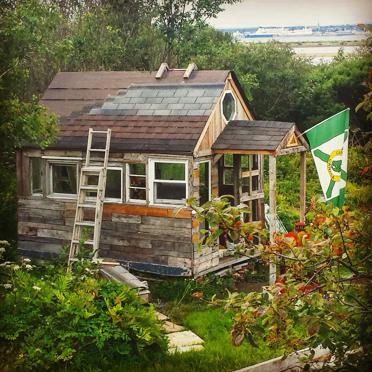 Southbarguy's tweet photo. Had a pretty swell day #shingling the #roof of the #driftwood / #pallet #shed today. Tomorrow I'll flip the #hook #ladder over to this side of the shed and #shingle up to the #peak of the #roof. #DIY #carpentry #reuse #recycle #gardenshed #greenhouse @ACAPCB #CapeBretonIsland https://t.co/lwlTO7p6u3