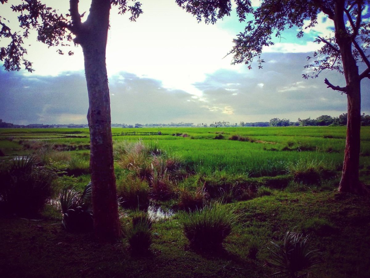 NTPPassion's tweet photo. Feel blessed to see this morning beauty. #love is nature and feel #blessed that to see the beauty. Never loose the chance to capture 📷. 

#happiness #beauty #grateful #friday #NaturePhotography #naturelovers #NatureForLife #Naturedream #morning #morningmusume20 #morningshow https://t.co/bcolyBwQF6