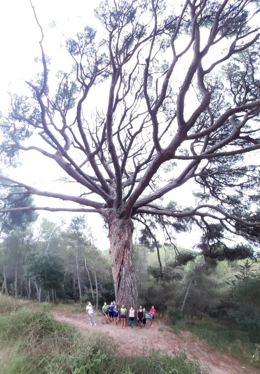 ennaturat1's tweet photo. Tornem a iniciar temporada d'En-run, aquest passat dimarts pels camins de Maspujols i l'Aleixar. I amb banyet refrescant final!! #running #trail #enrun #ennaturat https://t.co/z2k7WFCCKZ