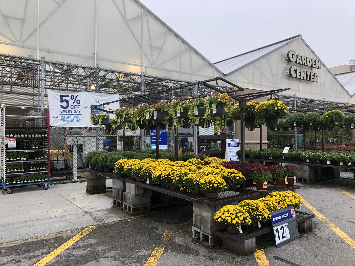 JukesinTN's tweet photo. Labor Day sale is in full swing at your Johnson City Lowe’s store.  737.  We are stocked any ready for fall planting.  Stop by!!  @SRatarsky @PlantPartners #fallplanting #mums @lilyhogueMGH https://t.co/2RB7iRxzNI