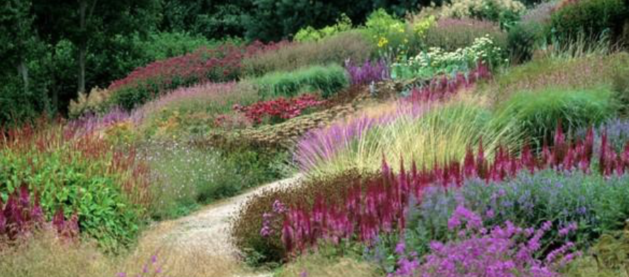 sdasla's tweet image. SIP &amp;amp; LEARN with us! New Plants &amp;amp; Piet Oudolf Webinar &amp;amp; Happy Hour; Sep 17, 4:30 PM

Join TreeTown USA to learn about new plants available as well as some of Mr. Oudolf's most famous works in the US.

Register here: treetownusa.zoom.us/webinar/regist…