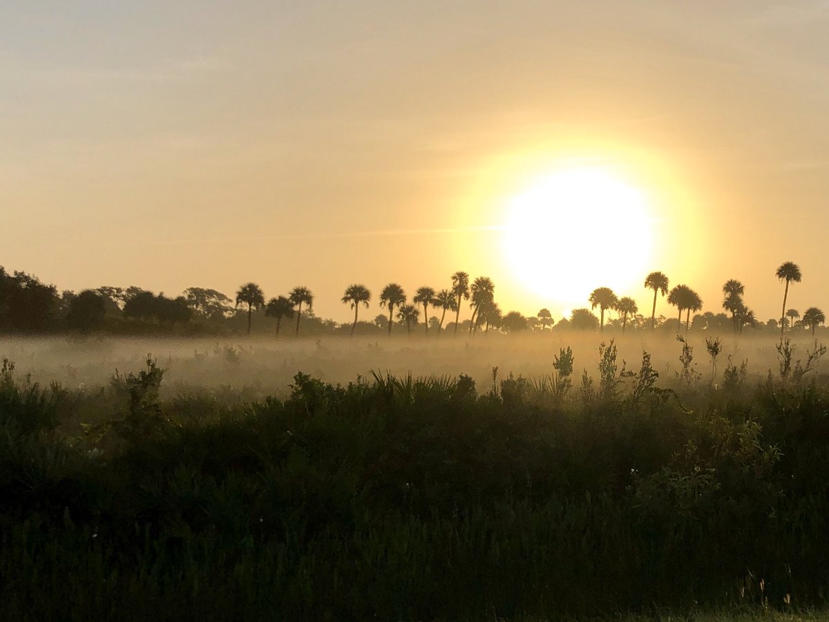 Playalinda812's tweet photo. Misty Florida sunrise today. #gointothebeach https://t.co/nBgrUogmHD