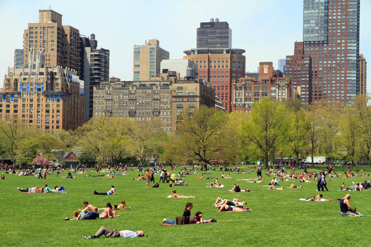 🗽 Esta parte del Central Park es conocida como "Sheep Meadow" (Pradera de las ovejas). Los animales que pastaban fueron reemplazados por miles de visitantes que van a tomar sol. Hay normas de conducta para mantenerla en perfectas condiciones. West Drive entre 66th St y 69th St.