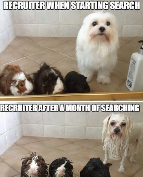 MMDChicago's tweet photo. #Recruiters #recruiter #staffing https://t.co/FzZ21qa1b2