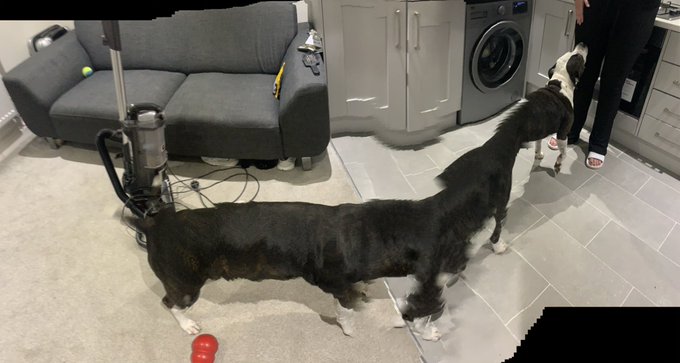 Watch Emily Brooke's leaked NSFW photo on TwXstars