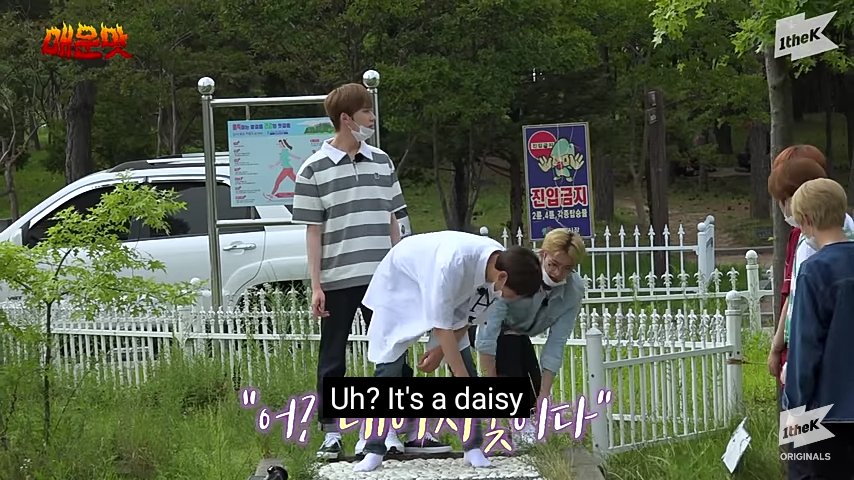 moonHae_86's tweet photo. @1theK @official_ONEUS This was my favorite part, everyone was chaos and being a mess but RAVN is just peace โจ I felt identified because I am a person who prefers tranquility ๐๐
#์์ด์ค #๋งค์ด๋ง์๋ณด์ฌ์ฃผ๋ง #ONEUS #ShowMeTheMWM @official_ONEUS https://t.co/YXpo5VsY6H