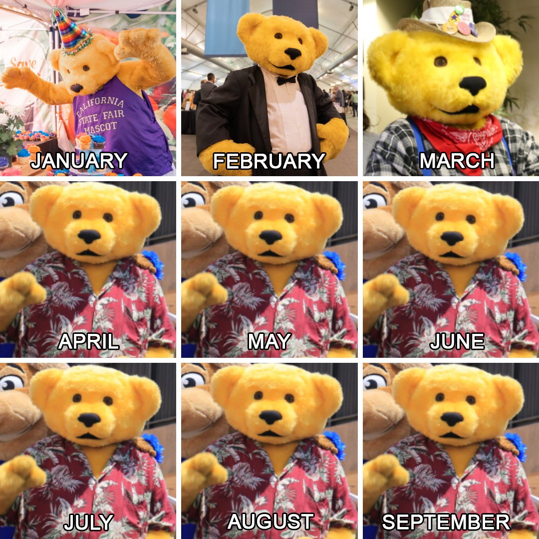 CAStateFair's tweet image. 2020 Mood. #MoreThanAFair #2020challenge #CAStateFair