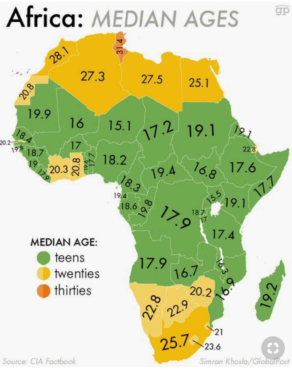 LopesInsights's tweet photo. African countries have the youngest population in the world. Going forward by the second half of this century Africa will have about one in every two newborns. The rest of the world will be ageing even faster. Where will be the young consumers of new tech? https://t.co/dQnBOTvXxb