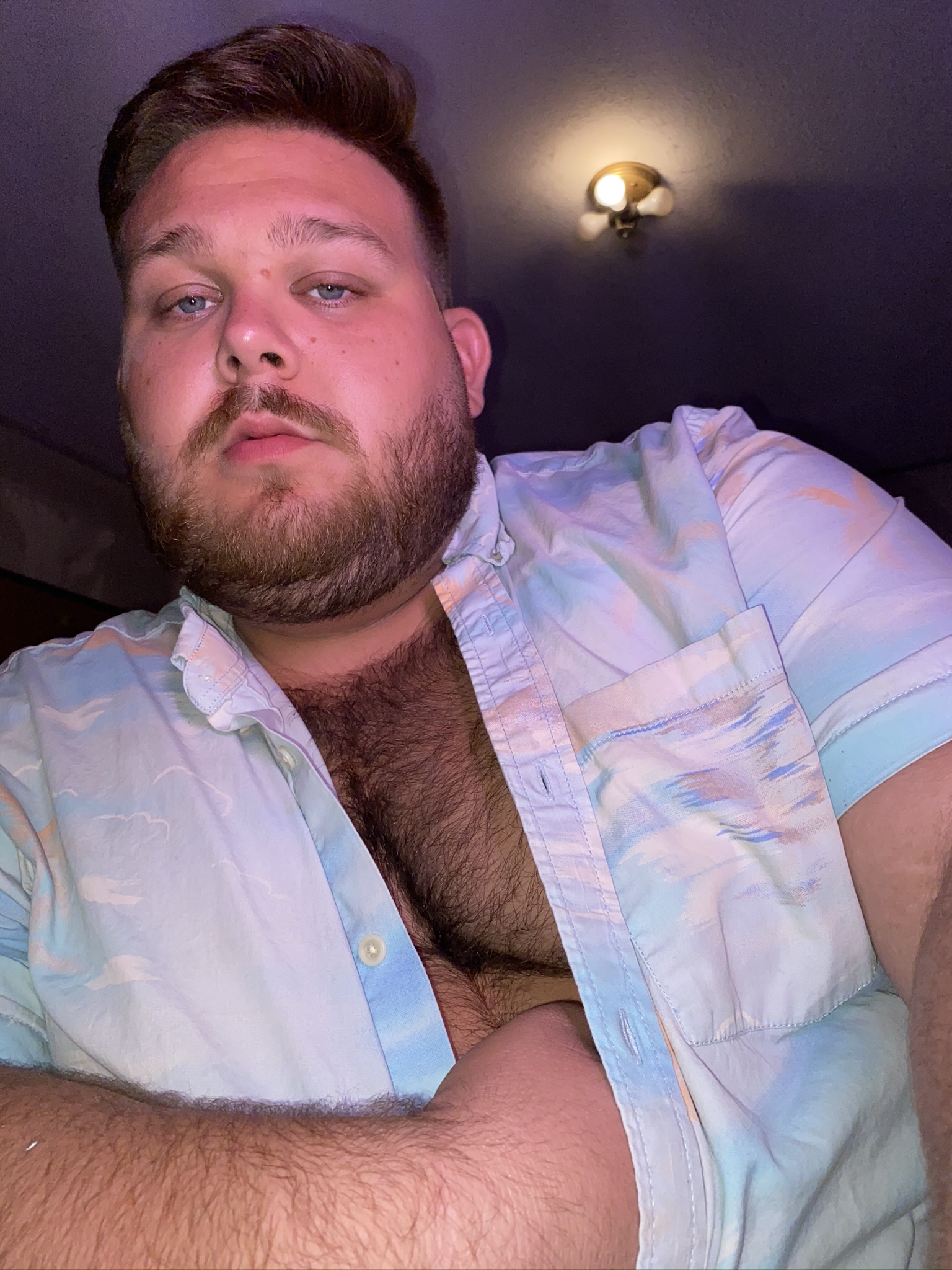 Bear video gay Gay Bears