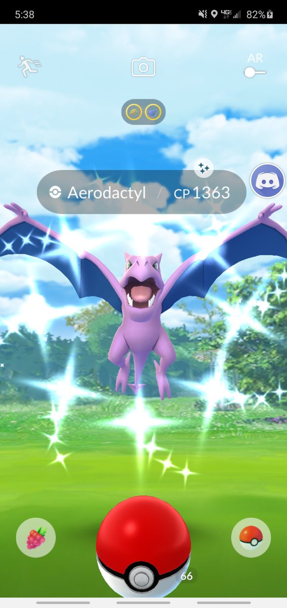 ShinyCrissy's tweet photo. Aerodactyl #2 & shiny #13 of September 🥰😍
#PokemonGo #PokemonGoShiny #MegaSeptember #EventShiny #ShinyAreodactyl #ShinyCrissys25 #PersonalChallenge #PersonalContest https://t.co/JZ282EOIw6